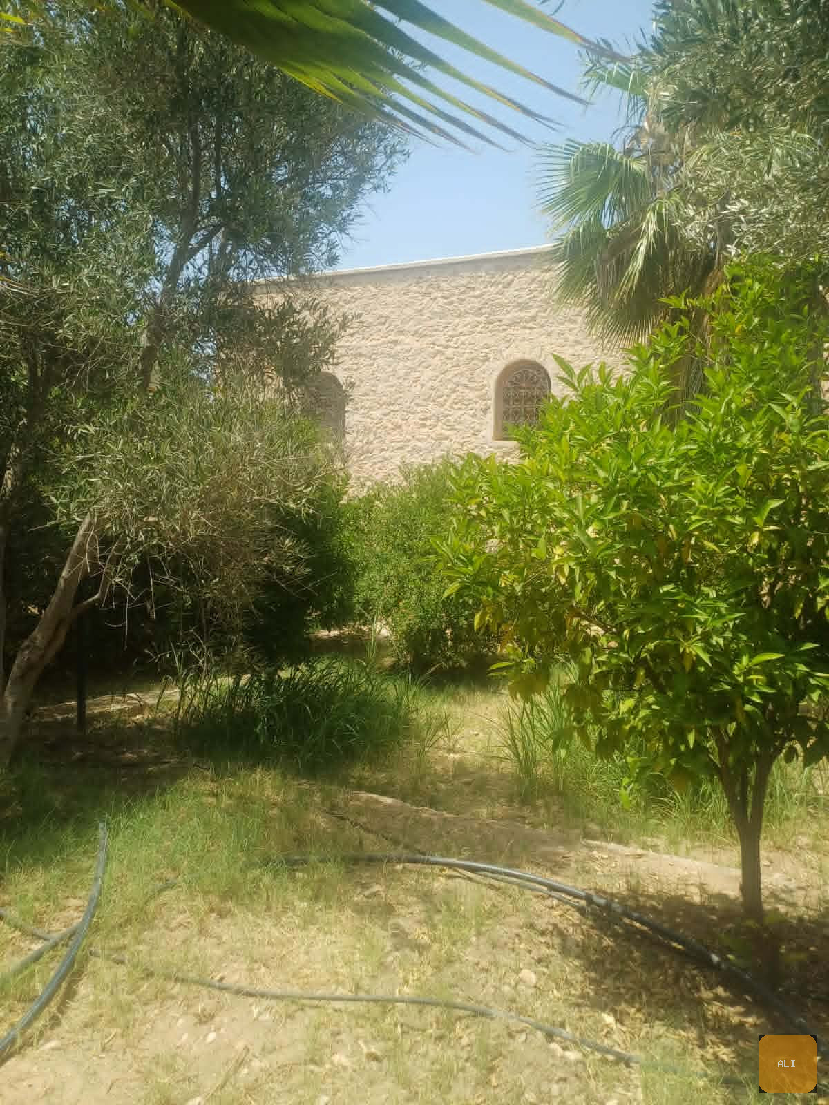 Photo 2